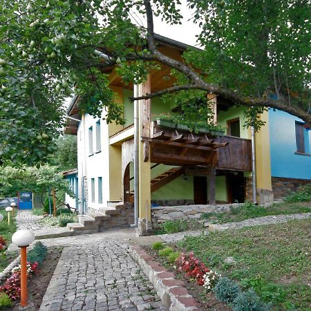 Chuchi Guest House 1 Zlatna Panega Buitenkant foto