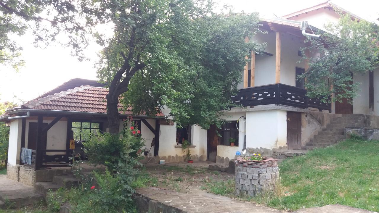 Chuchi Guest House 1 Zlatna Panega Buitenkant foto