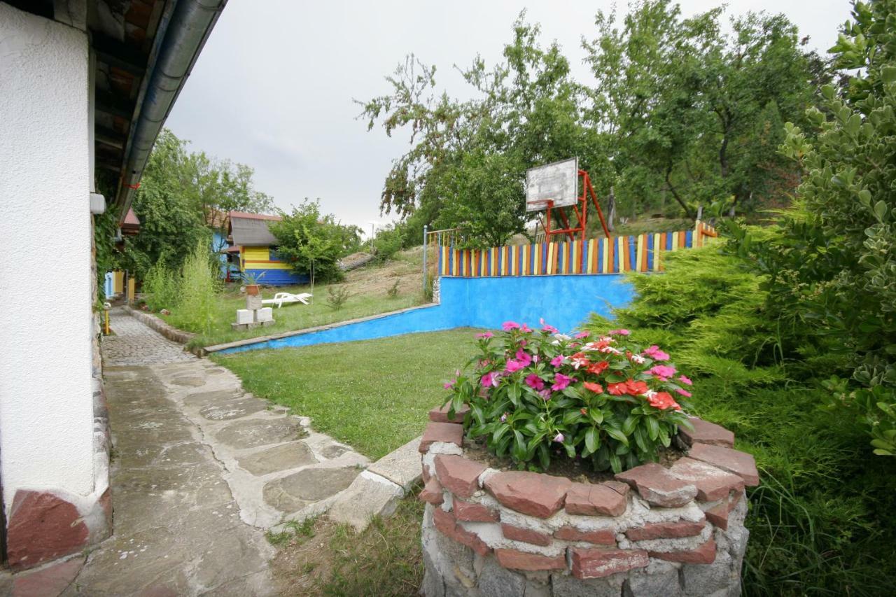 Chuchi Guest House 1 Zlatna Panega Buitenkant foto