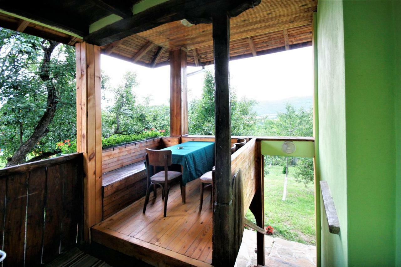 Chuchi Guest House 1 Zlatna Panega Buitenkant foto