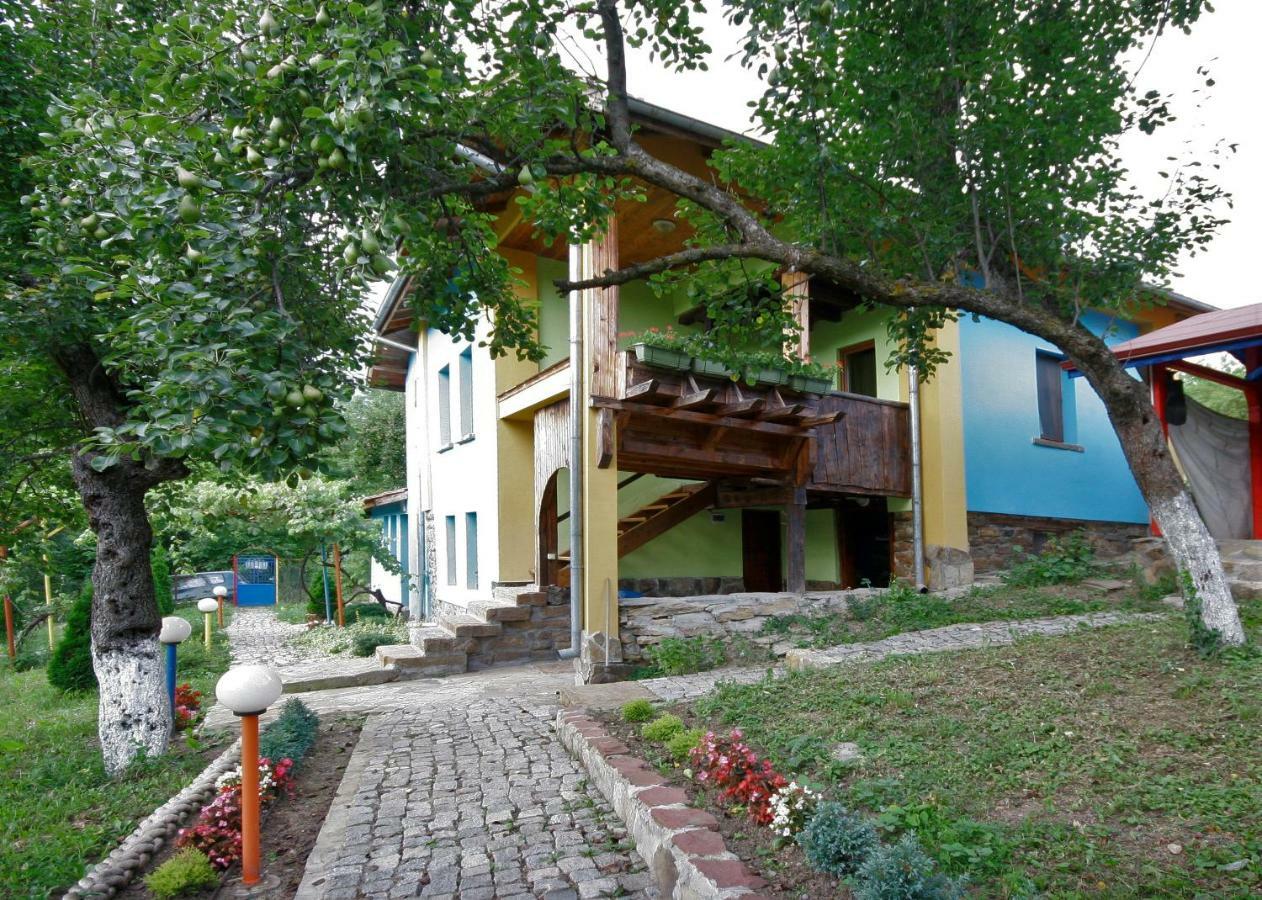 Chuchi Guest House 1 Zlatna Panega Buitenkant foto