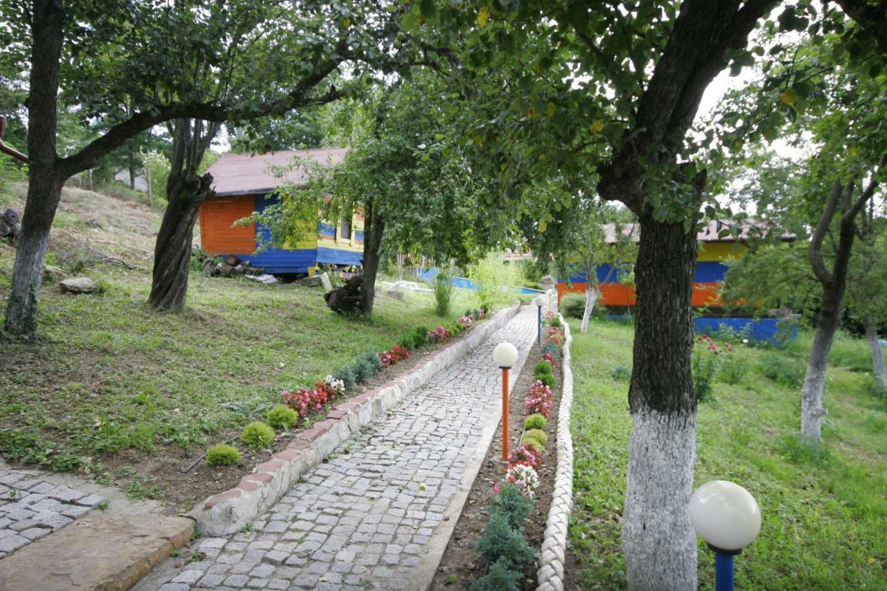 Chuchi Guest House 1 Zlatna Panega Buitenkant foto